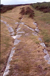 Haytor granite tramway - points (tony audsley)