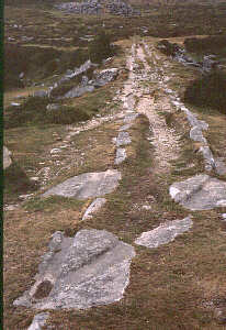 Haytor granite tramway - points detail (tony audsley)