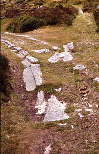 Haytor granite tramway - flange (Tony Audsley)