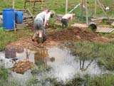 Home Close Hole, Wigmore Farm