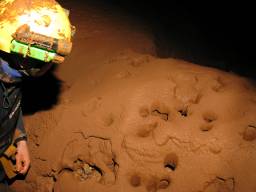 Mud formations in Young Bloods Inlet