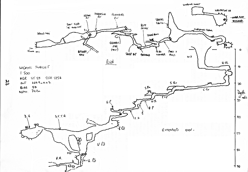 wigmore survey