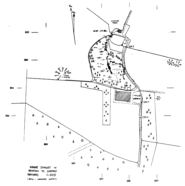 Wigmore surface features